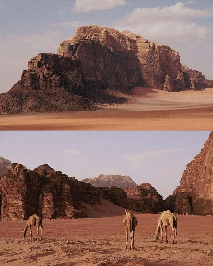 Luxury tent New Luxury Camp Wadi Rum
